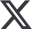 twitter/x icon